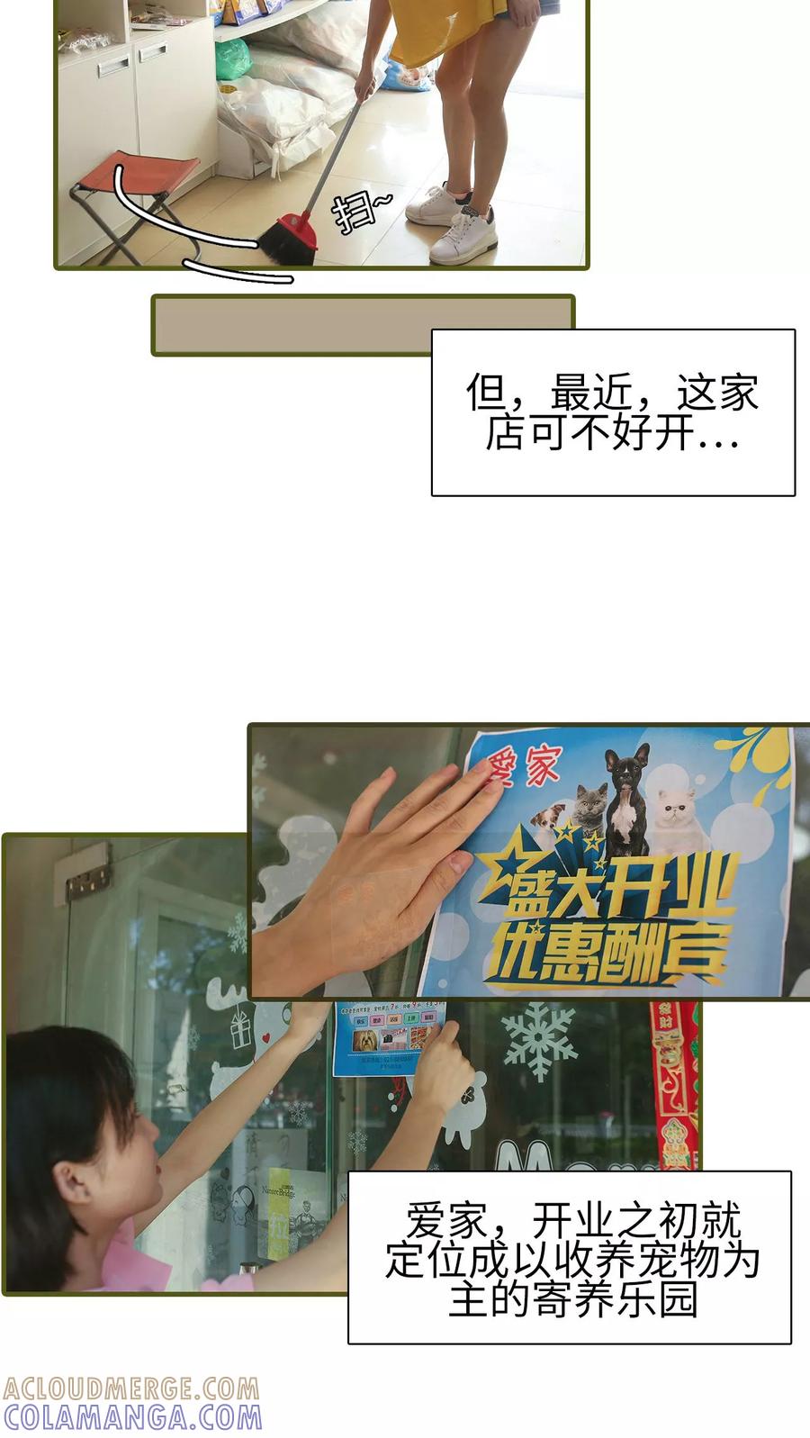 第4话-萌宠情缘-剧能玩（第3张）