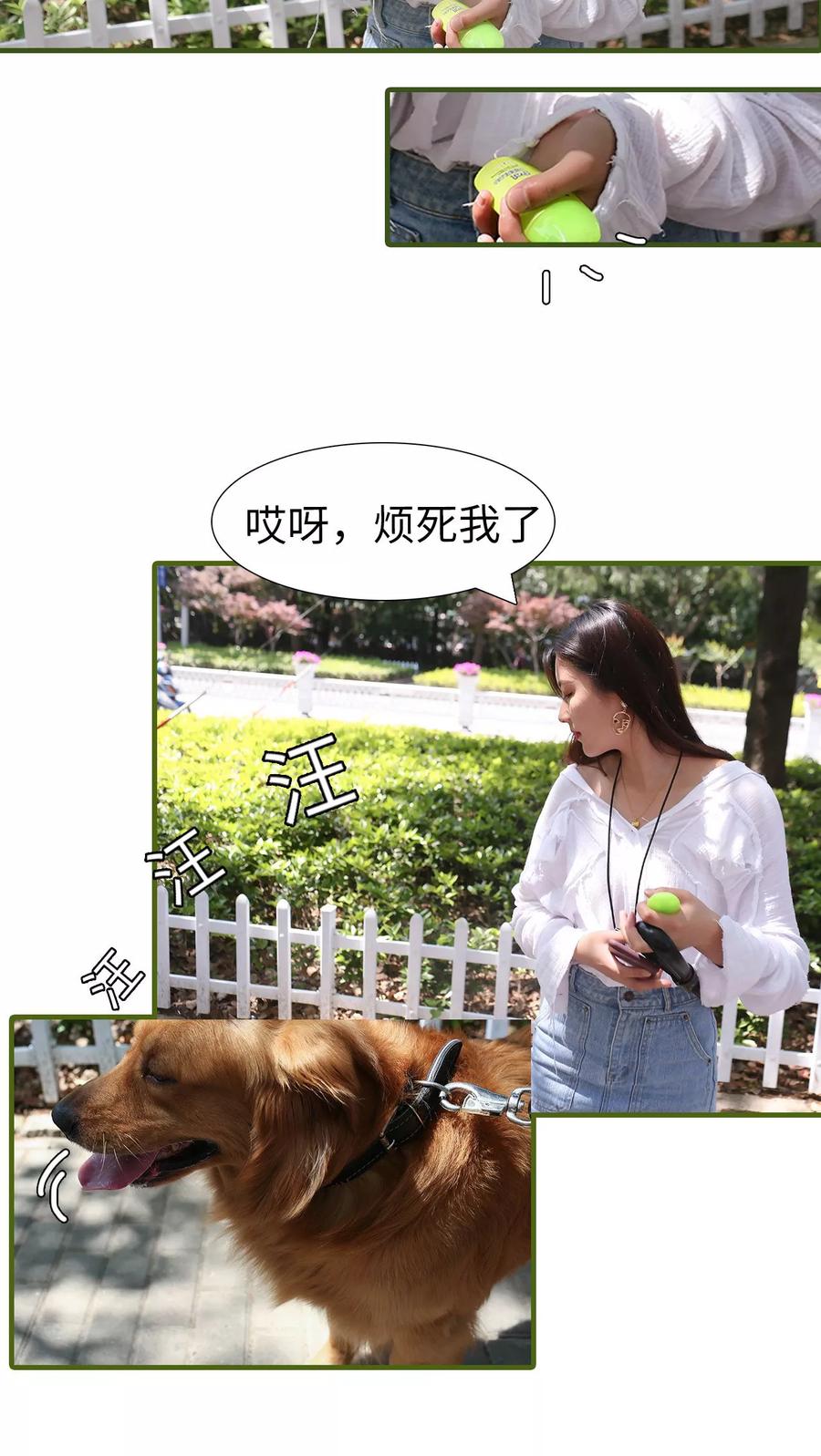 第7话-萌宠情缘-剧能玩（第6张）