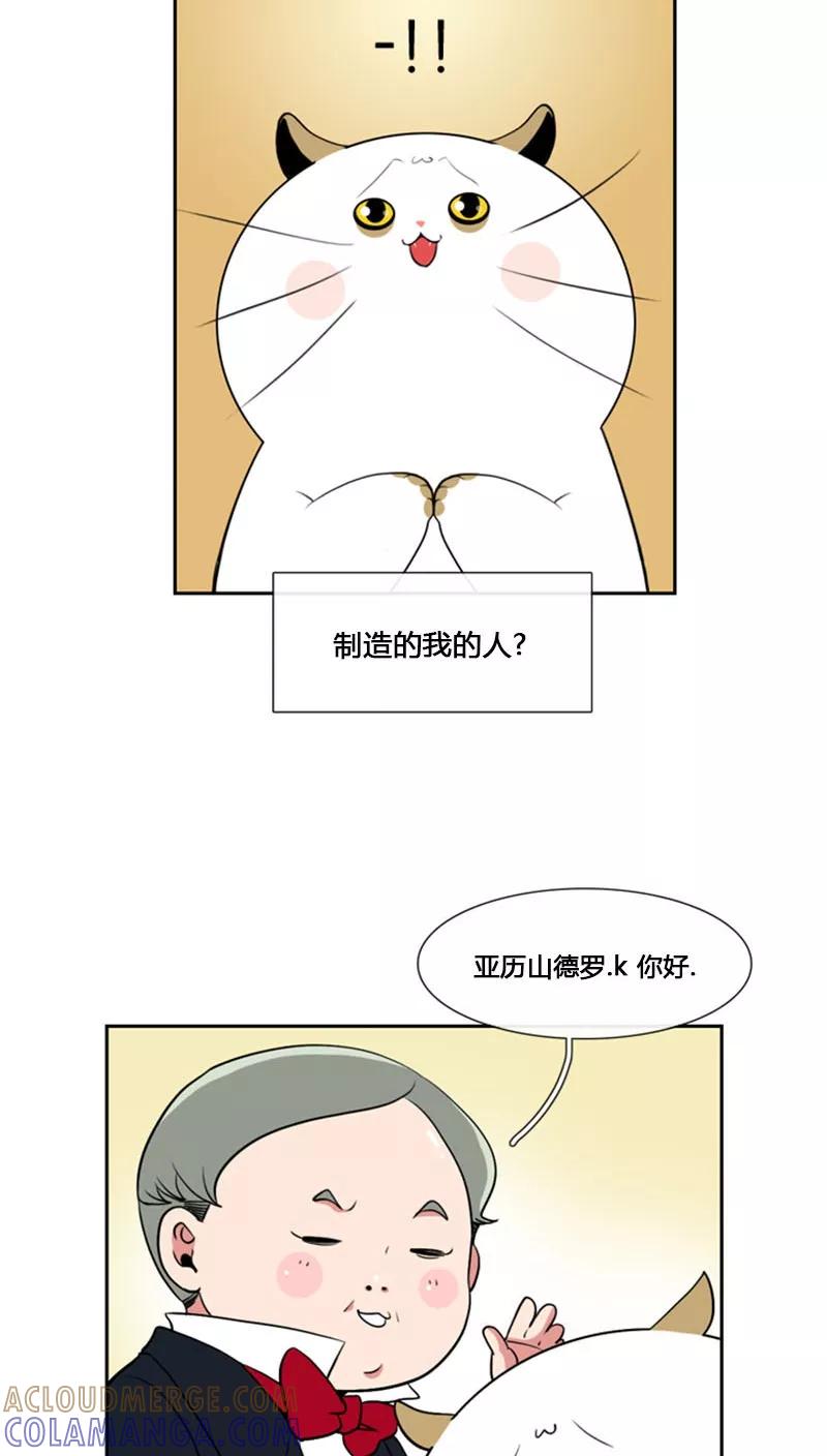 第79话-ICE-Cold要员的捡猫事件-漫拍拍 金耶琳 张流拉（第11张）