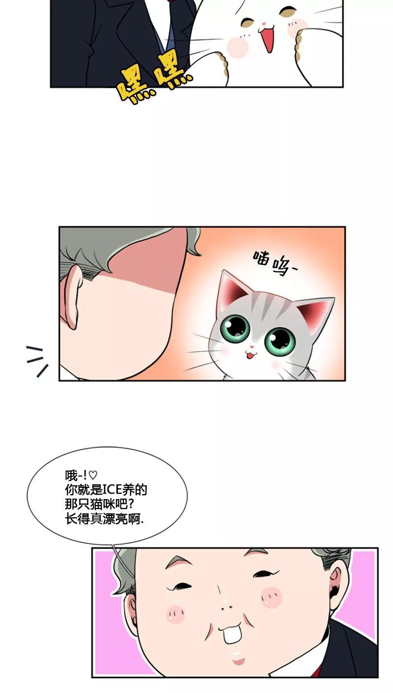 第79话-ICE-Cold要员的捡猫事件-漫拍拍 金耶琳 张流拉（第12张）