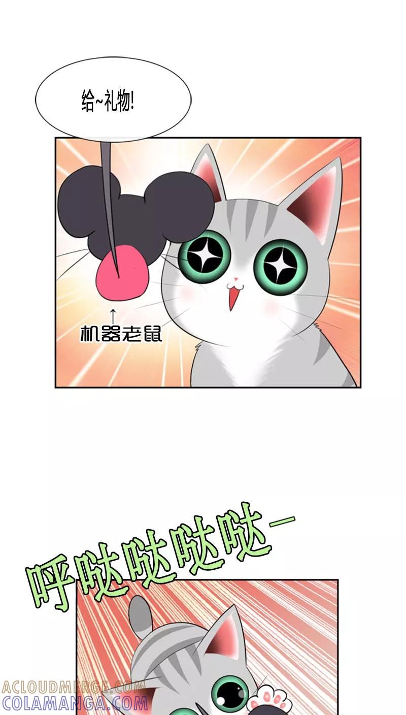 第79话-ICE-Cold要员的捡猫事件-漫拍拍 金耶琳 张流拉（第13张）