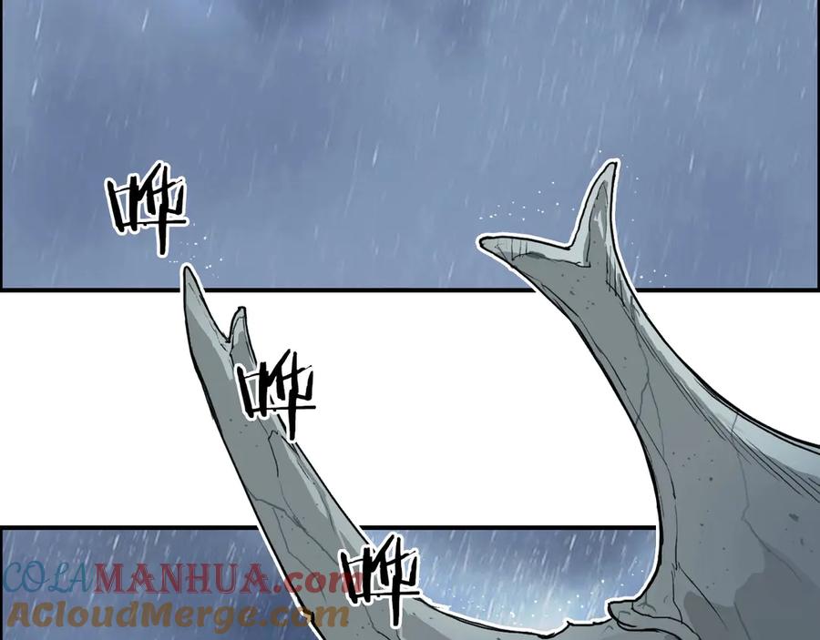 145.jpg