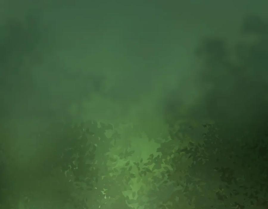 95.jpg