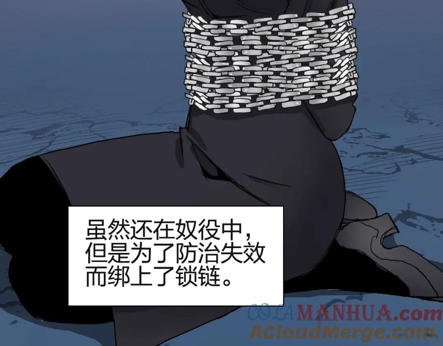 117.jpg