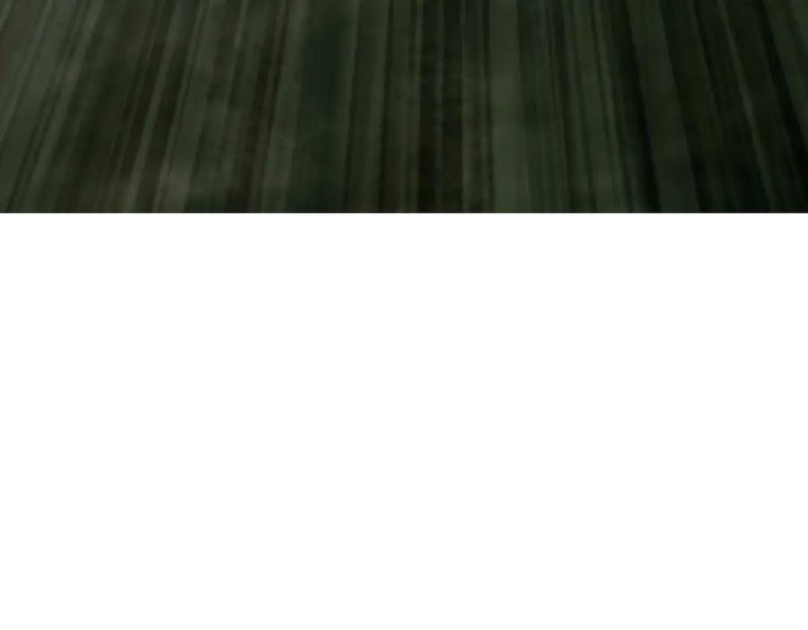 146.jpg