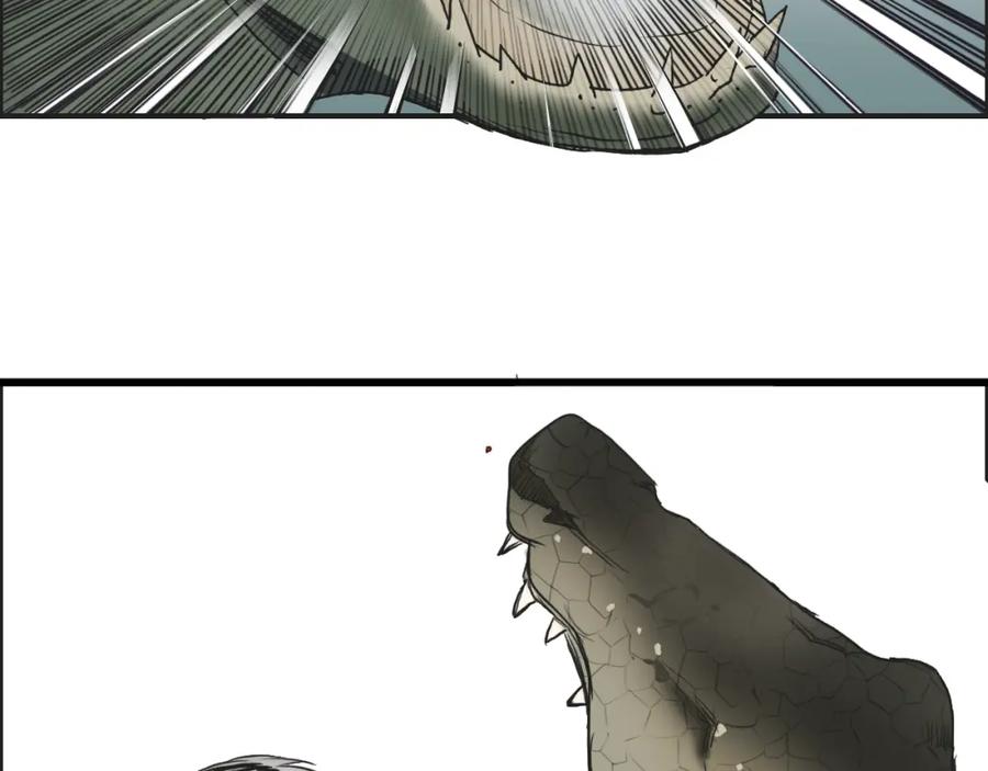 78.jpg