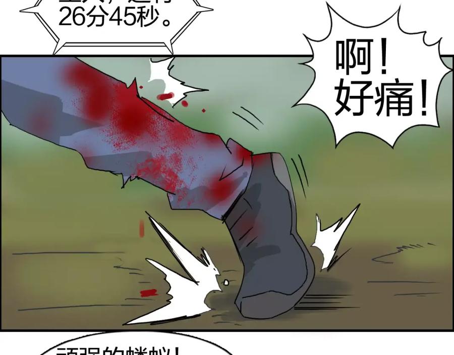 75.jpg