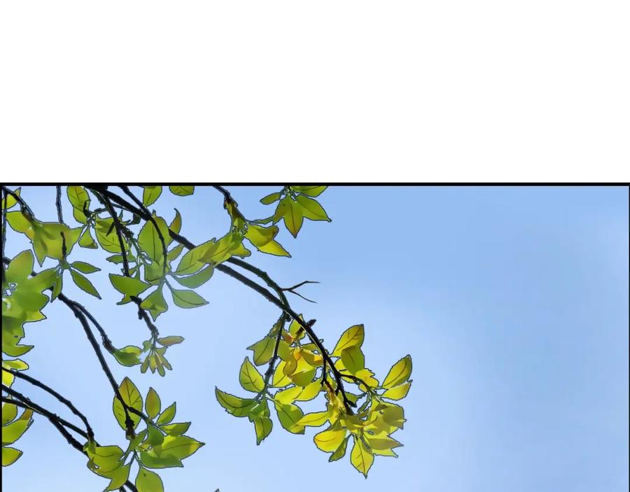 106.jpg