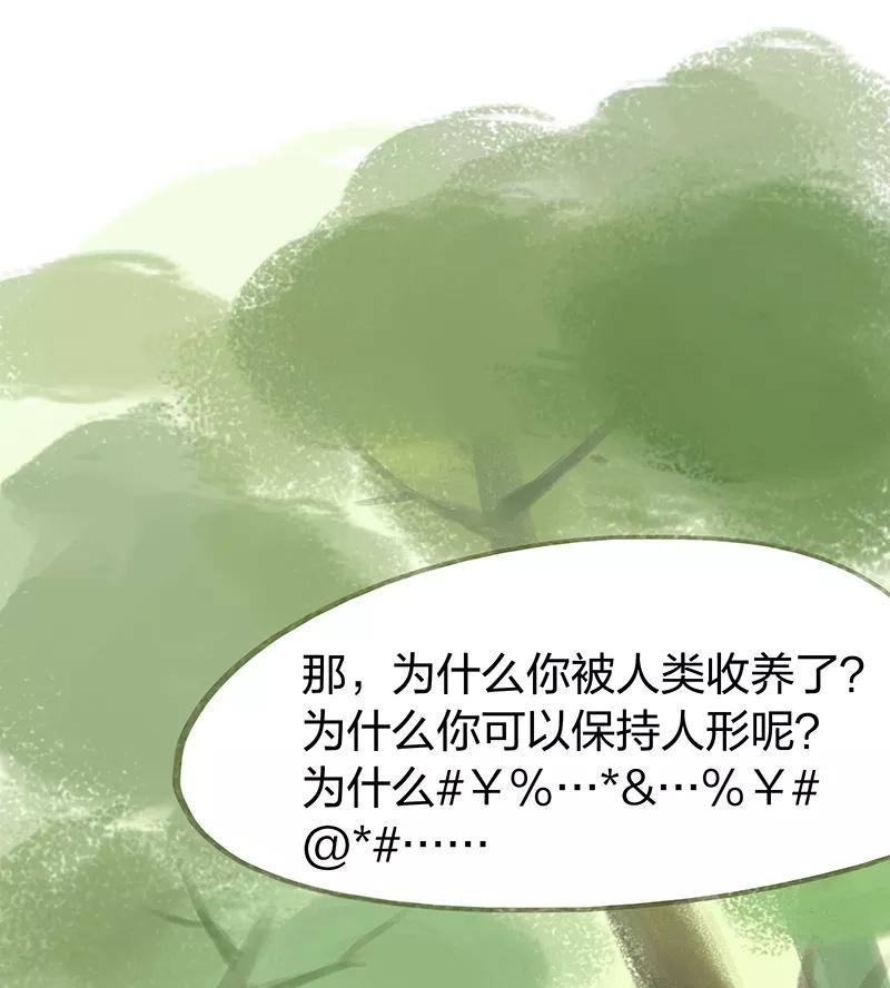 第52话-吾猫当仙-完美世界漫画（第22张）