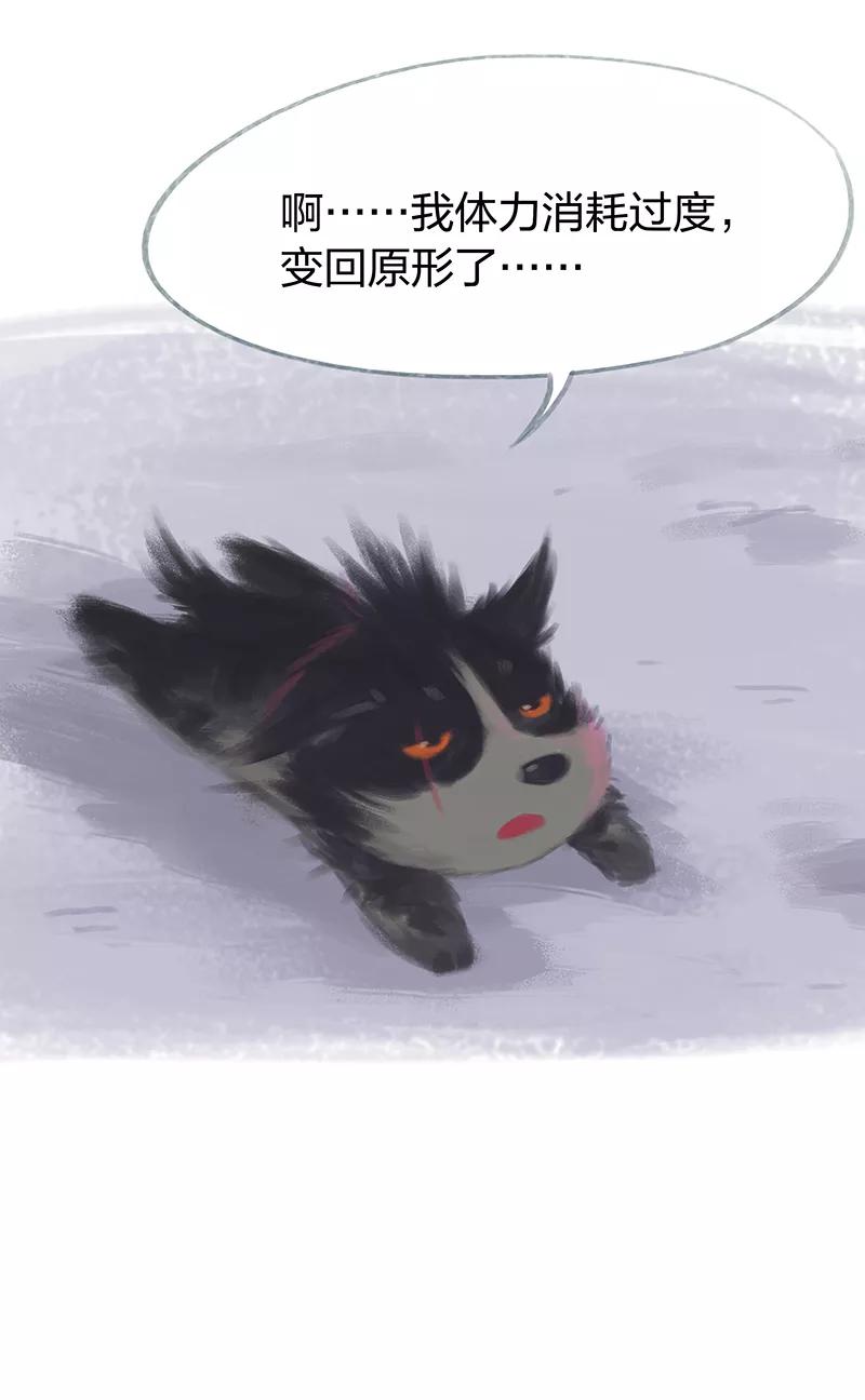 第62话-吾猫当仙-完美世界漫画（第16张）