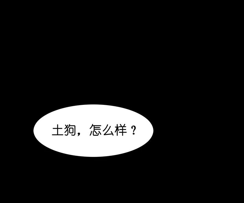 番外-吾猫当仙-完美世界漫画（第13张）