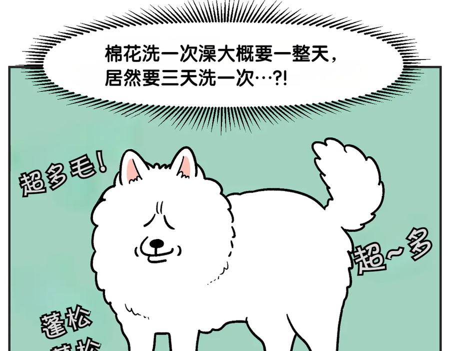 第1话棉棒的诞生-我的狗子叫棉花-milo+Polarfox（第10张）