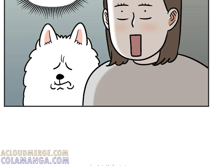 第1话棉棒的诞生-我的狗子叫棉花-milo+Polarfox（第9张）