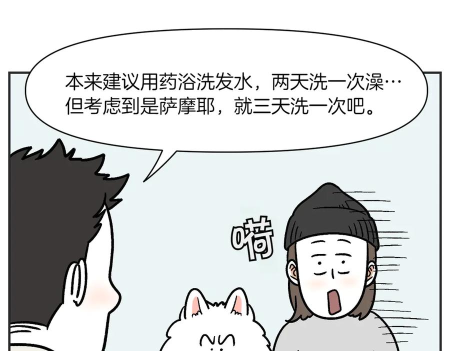 第1话棉棒的诞生-我的狗子叫棉花-milo+Polarfox（第7张）