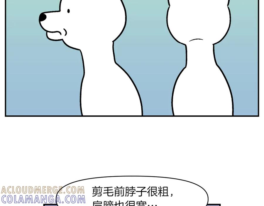 第2话棉棒美容后记-我的狗子叫棉花-milo+Polarfox（第6张）