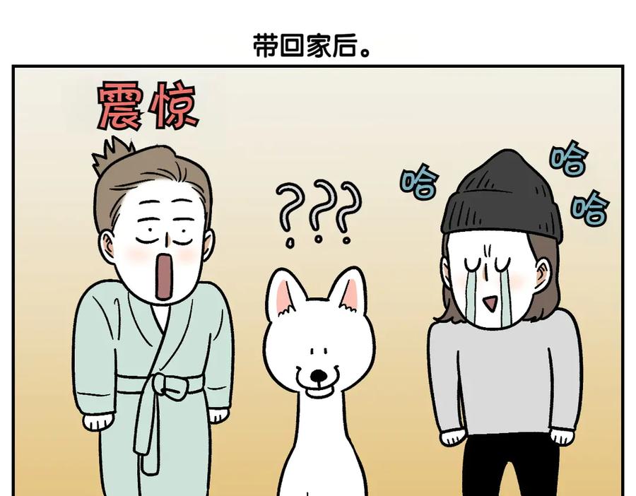 第2话棉棒美容后记-我的狗子叫棉花-milo+Polarfox（第4张）