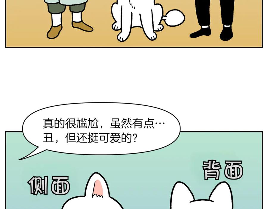 第2话棉棒美容后记-我的狗子叫棉花-milo+Polarfox（第5张）