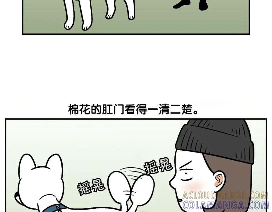 第3话回归的棉棒-我的狗子叫棉花-milo+Polarfox（第6张）