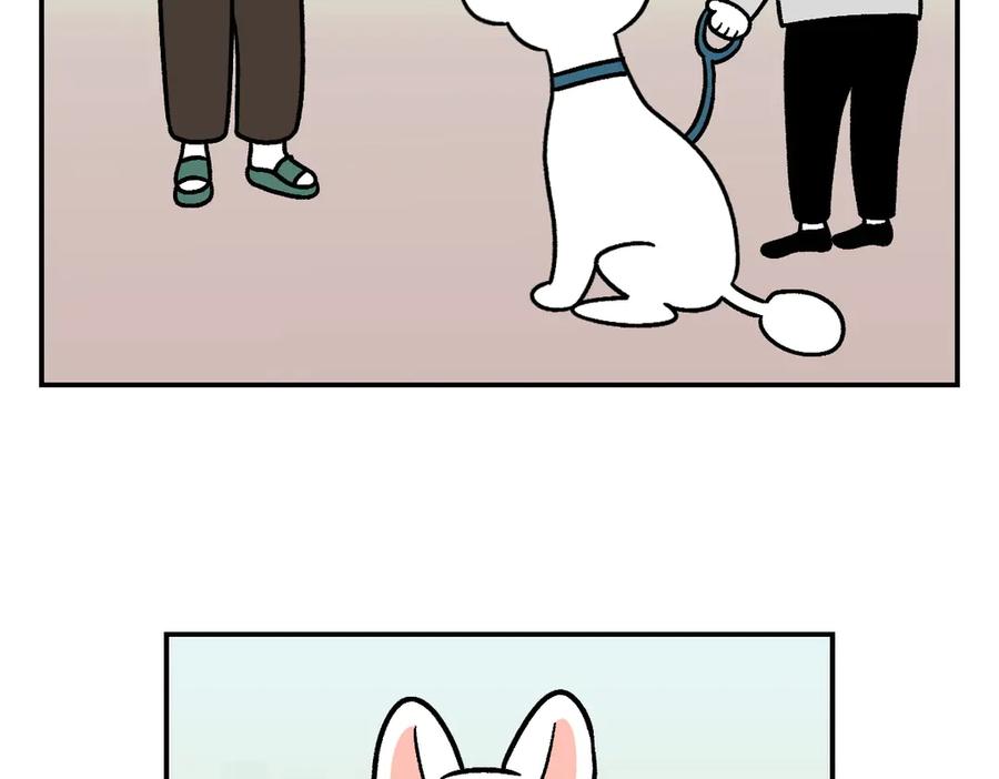第4话自助美容-我的狗子叫棉花-milo+Polarfox（第5张）