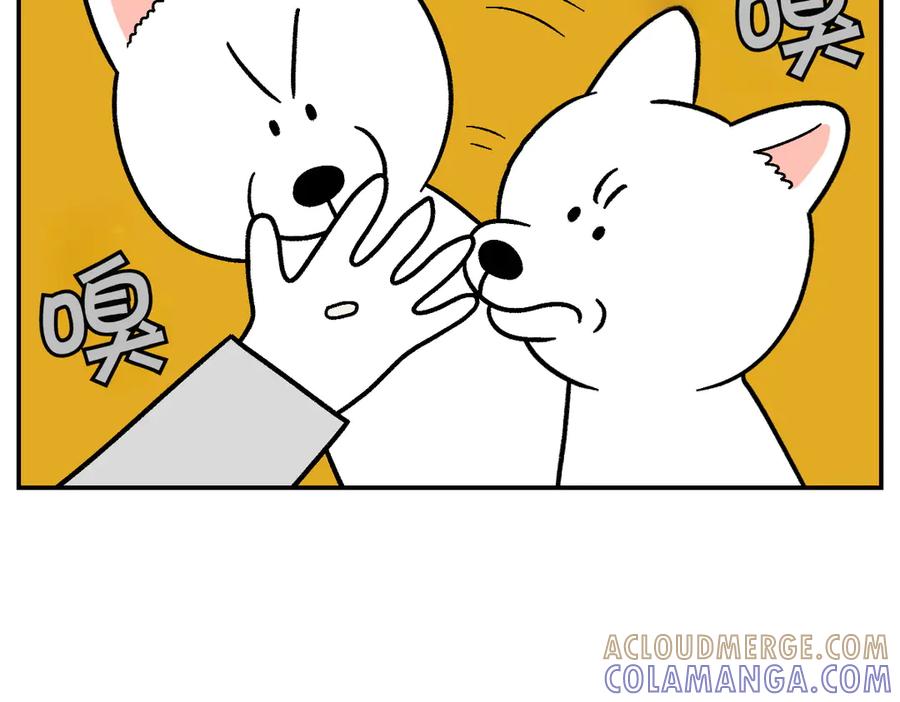 第5话喂狗狗吃药片的方法-我的狗子叫棉花-milo+Polarfox（第6张）