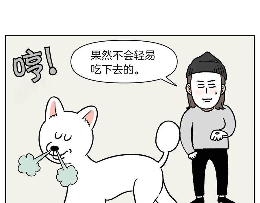 第5话喂狗狗吃药片的方法-我的狗子叫棉花-milo+Polarfox（第7张）