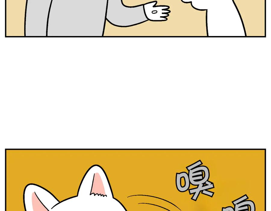 第5话喂狗狗吃药片的方法-我的狗子叫棉花-milo+Polarfox（第5张）