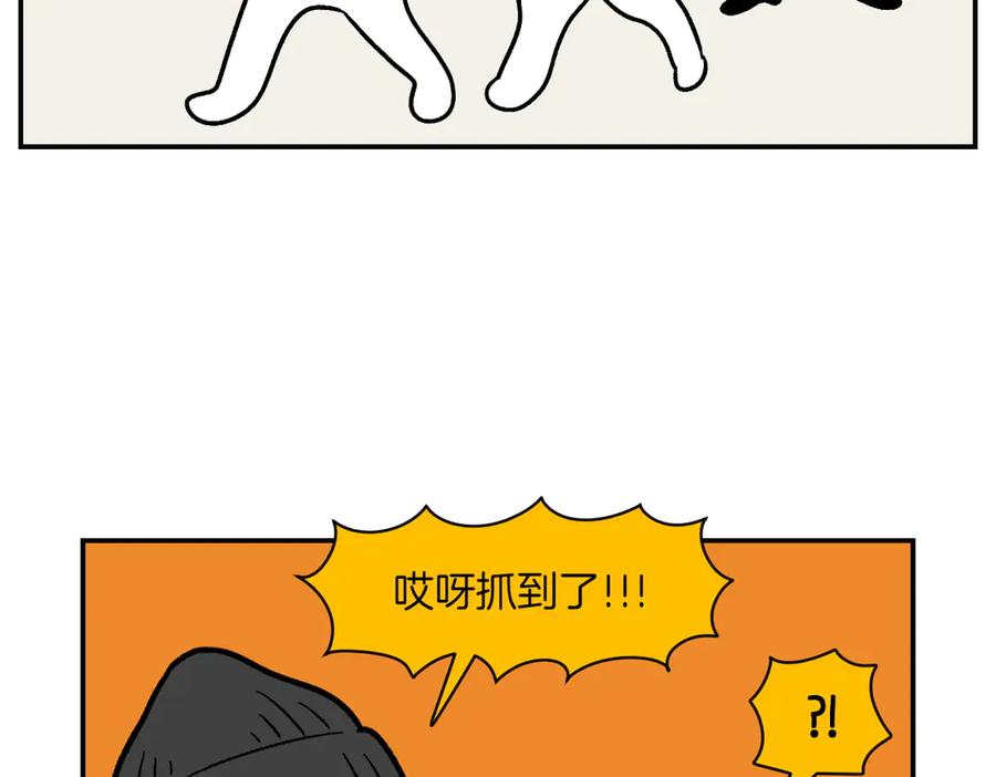 第5话喂狗狗吃药片的方法-我的狗子叫棉花-milo+Polarfox（第8张）