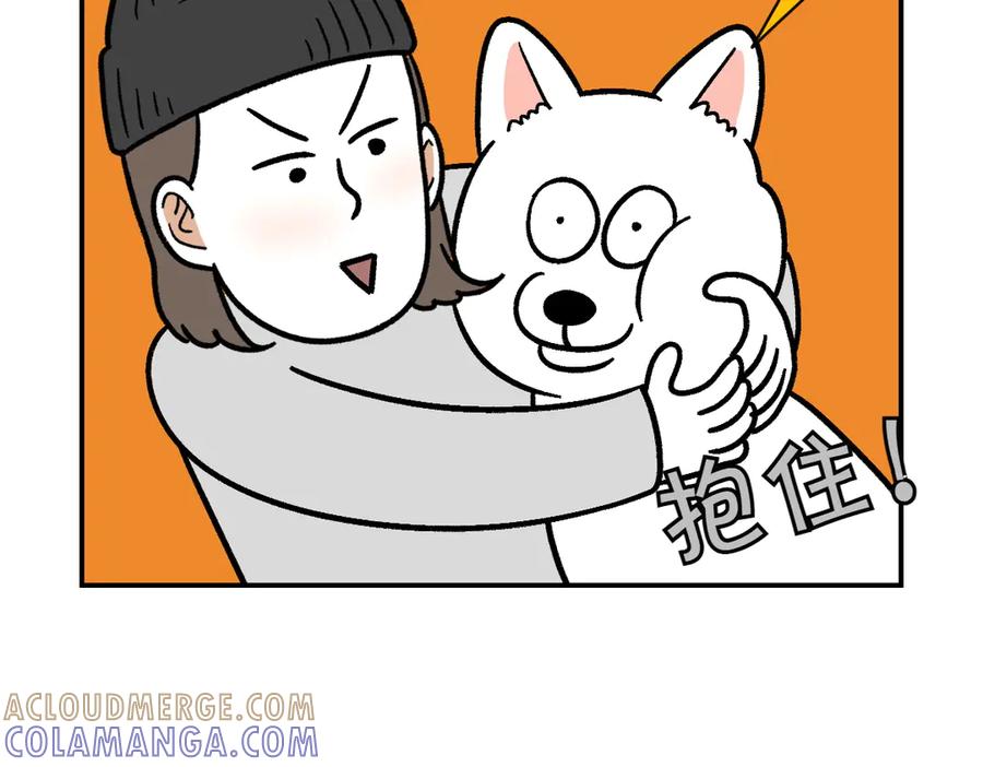 第5话喂狗狗吃药片的方法-我的狗子叫棉花-milo+Polarfox（第9张）
