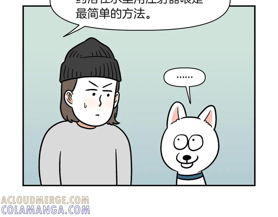 第6话喂狗狗吃药粉的方法-我的狗子叫棉花-milo+Polarfox（第6张）