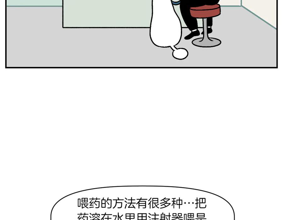第6话喂狗狗吃药粉的方法-我的狗子叫棉花-milo+Polarfox（第5张）