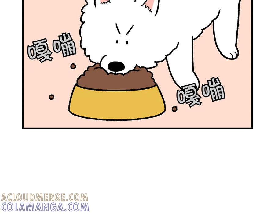 第7话让药粉美味的方法-我的狗子叫棉花-milo+Polarfox（第6张）