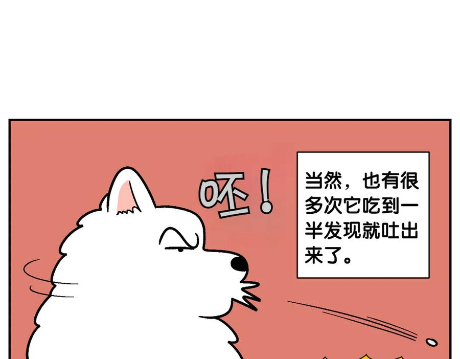 第7话让药粉美味的方法-我的狗子叫棉花-milo+Polarfox（第8张）