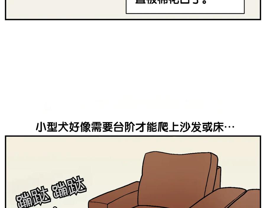 第8话棉花的专属位置-我的狗子叫棉花-milo+Polarfox（第5张）