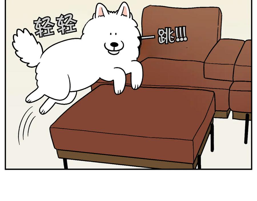 第8话棉花的专属位置-我的狗子叫棉花-milo+Polarfox（第7张）