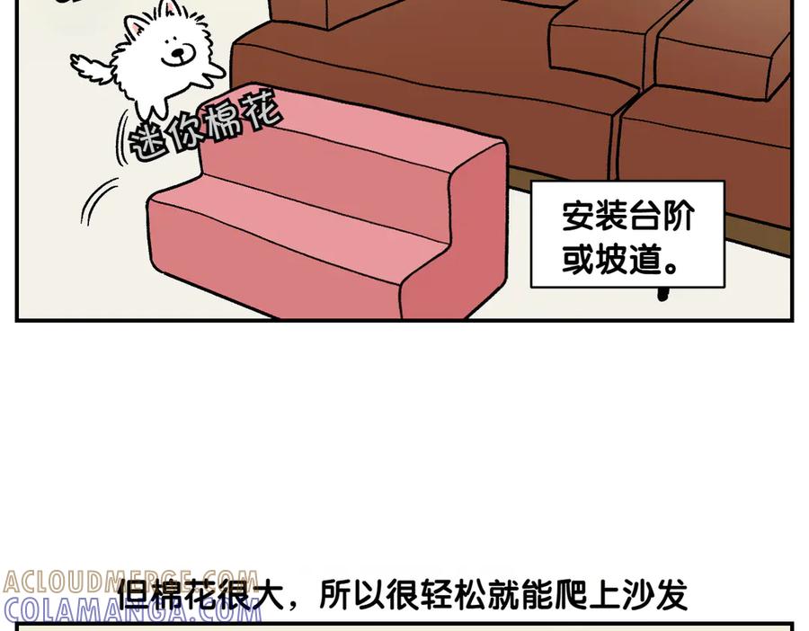 第8话棉花的专属位置-我的狗子叫棉花-milo+Polarfox（第6张）