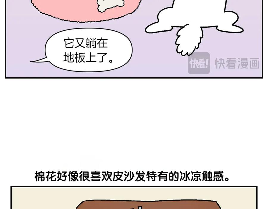 第8话棉花的专属位置-我的狗子叫棉花-milo+Polarfox（第10张）