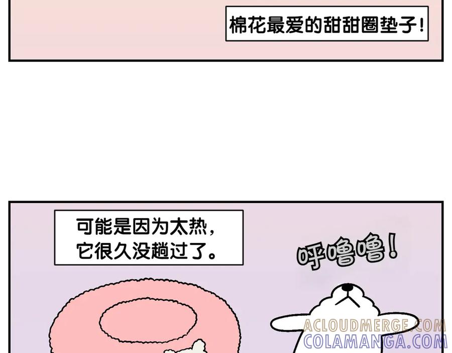 第8话棉花的专属位置-我的狗子叫棉花-milo+Polarfox（第9张）