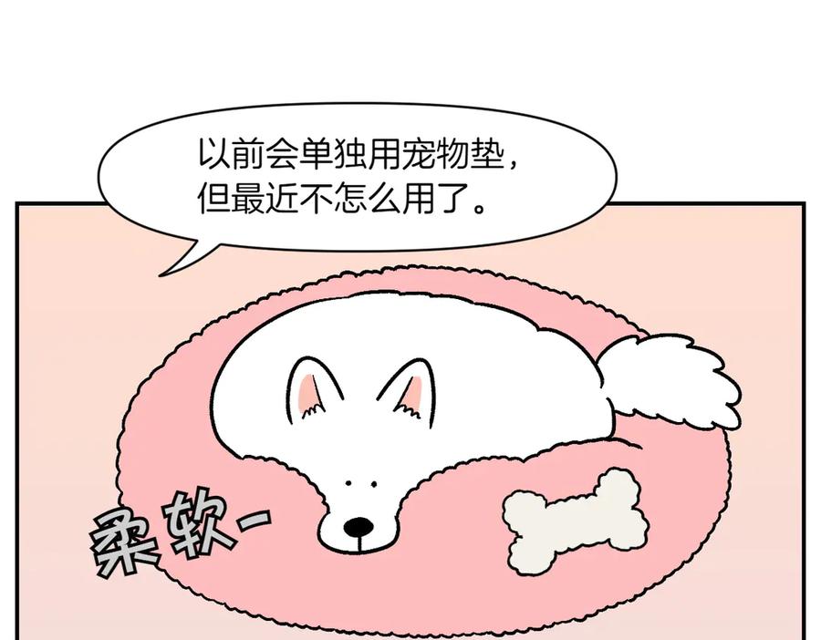 第8话棉花的专属位置-我的狗子叫棉花-milo+Polarfox（第8张）