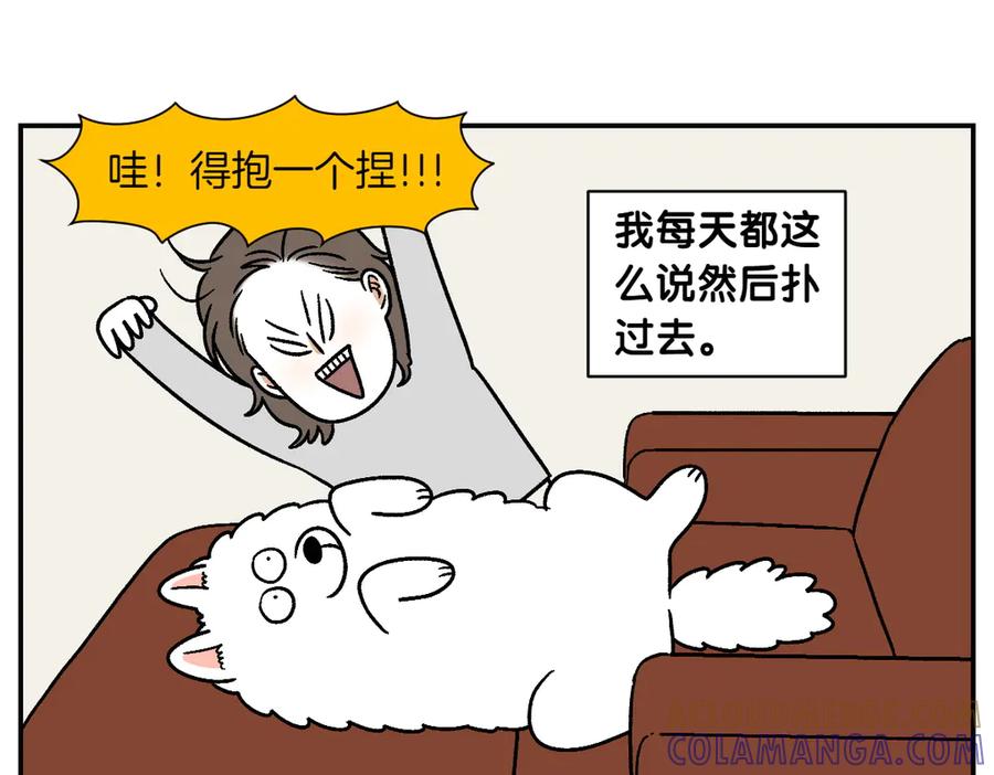 第9话早间流程-我的狗子叫棉花-milo+Polarfox（第18张）