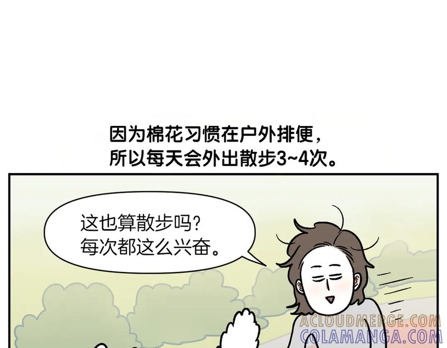 第9话早间流程-我的狗子叫棉花-milo+Polarfox（第27张）