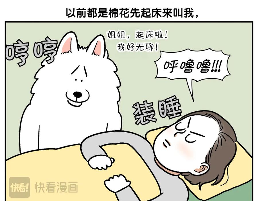 第9话早间流程-我的狗子叫棉花-milo+Polarfox（第8张）