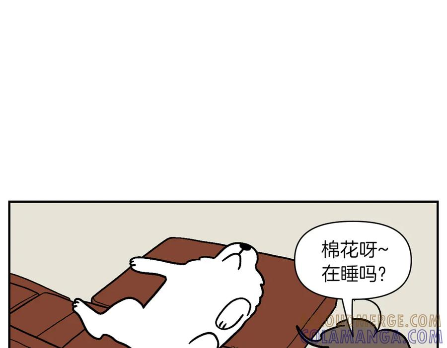 第9话早间流程-我的狗子叫棉花-milo+Polarfox（第15张）