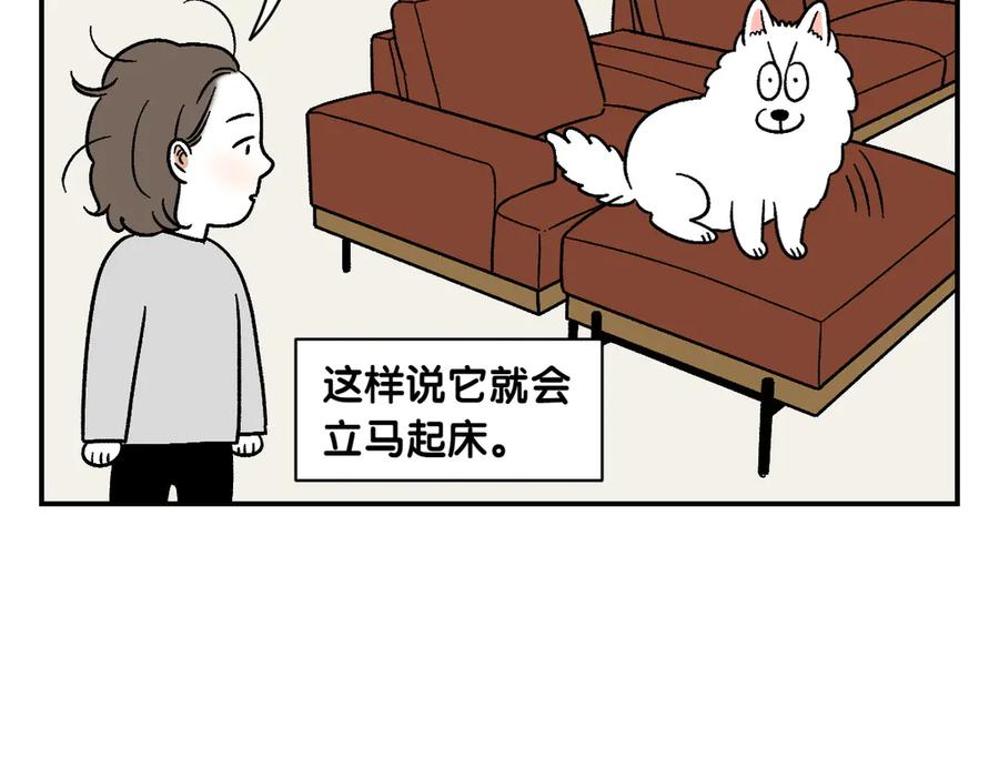 第9话早间流程-我的狗子叫棉花-milo+Polarfox（第26张）