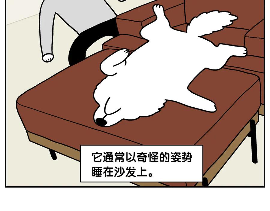第9话早间流程-我的狗子叫棉花-milo+Polarfox（第14张）