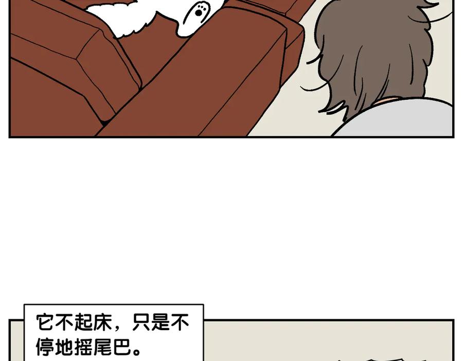 第9话早间流程-我的狗子叫棉花-milo+Polarfox（第16张）