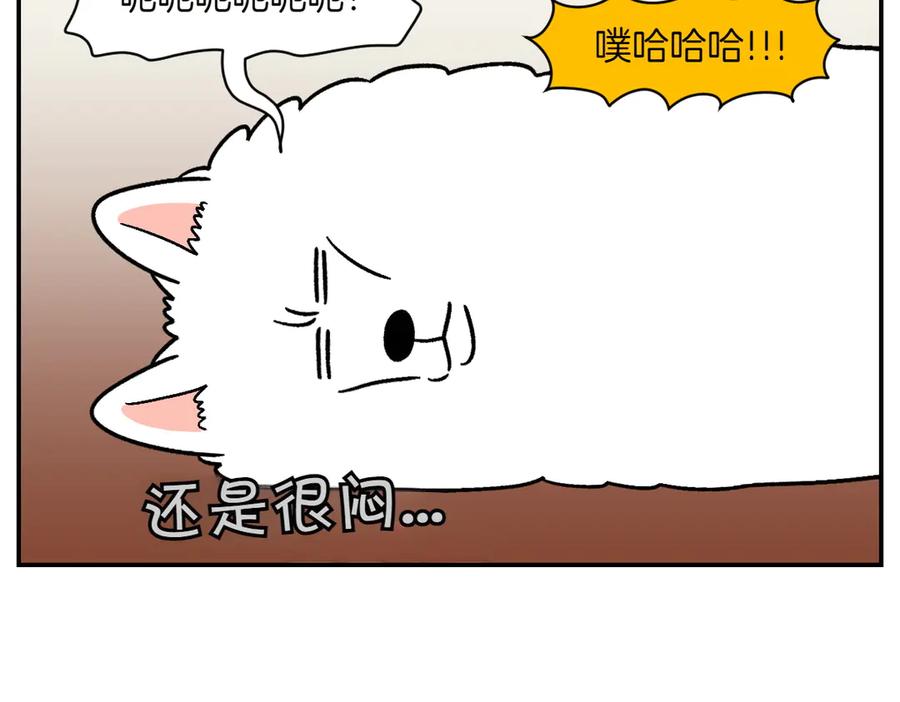 第9话早间流程-我的狗子叫棉花-milo+Polarfox（第22张）