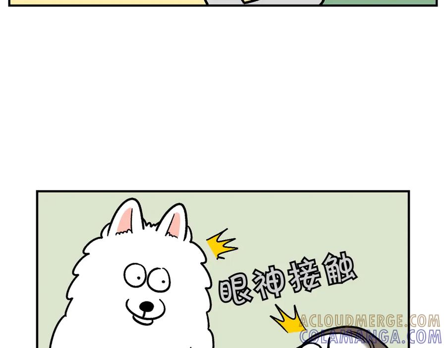 第9话早间流程-我的狗子叫棉花-milo+Polarfox（第9张）