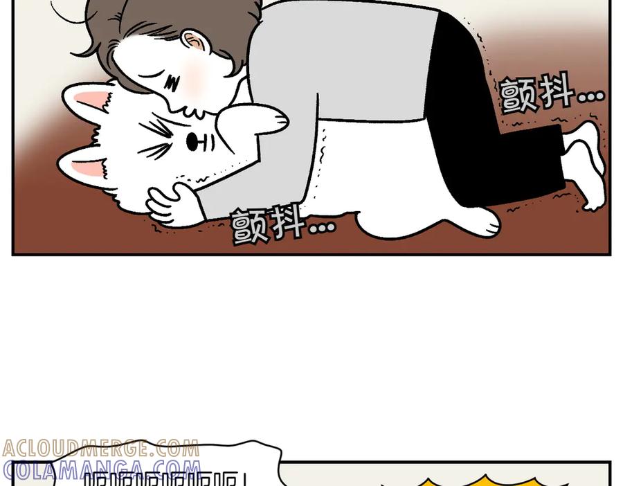 第9话早间流程-我的狗子叫棉花-milo+Polarfox（第21张）
