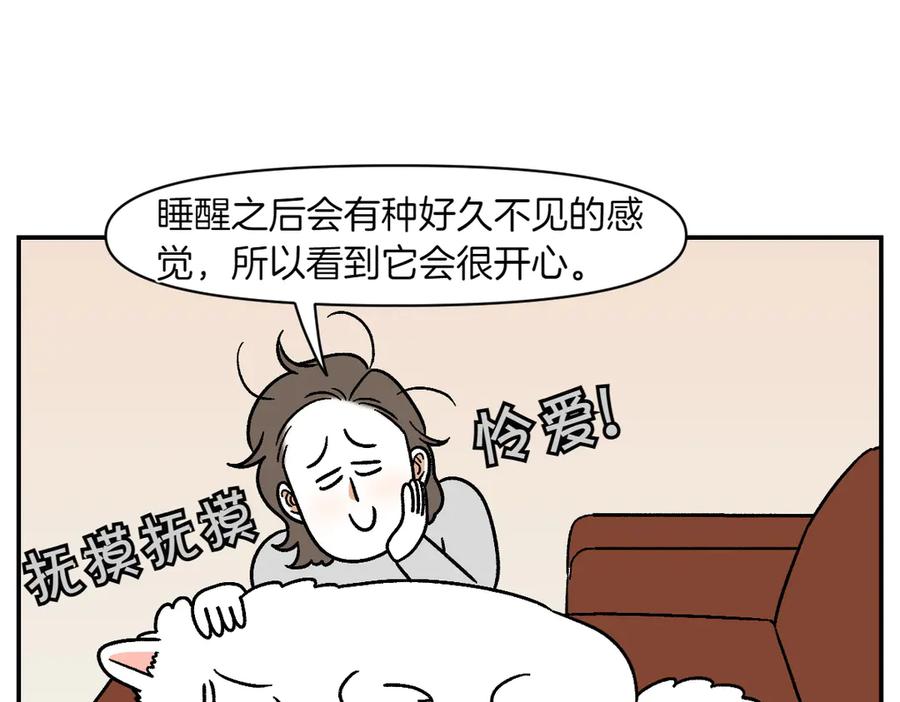 第9话早间流程-我的狗子叫棉花-milo+Polarfox（第23张）