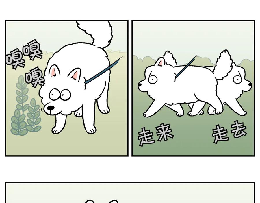 第9话早间流程-我的狗子叫棉花-milo+Polarfox（第29张）